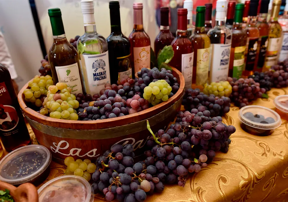 vinos y fruta ica-19